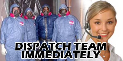 Dispatch team Immediately Emergency cleanup emergency service