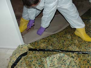 Water damage Cleaners Water Damage Clean Up Mold Remediation