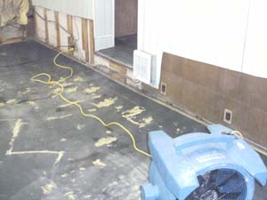 Mold Mildew and Water Damage Restoration. Structural Drying Dry out IICRC