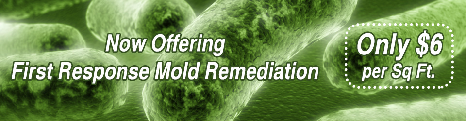 Faqs Bio Clean Of Nj Crime Scene Clean Up Bio Hazardous Remediation Bio Clean Of New Jersey